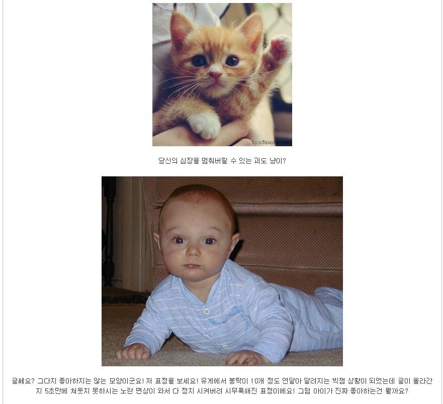 이게 괴도ㅈㅈ원본글임?_2.jpg