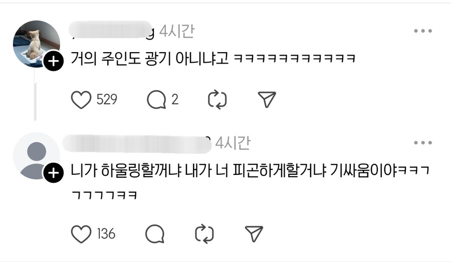 분리불안을 해소하기 위한 견주의 노력_3.jpg