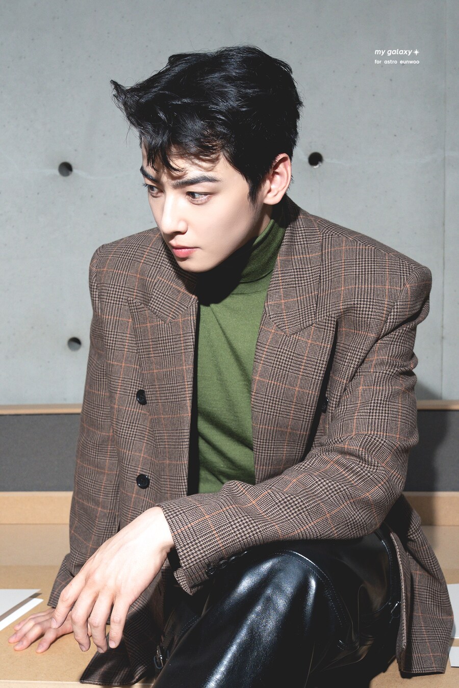 짬통한테 외모로 밀린다는 연예인_5.jpg