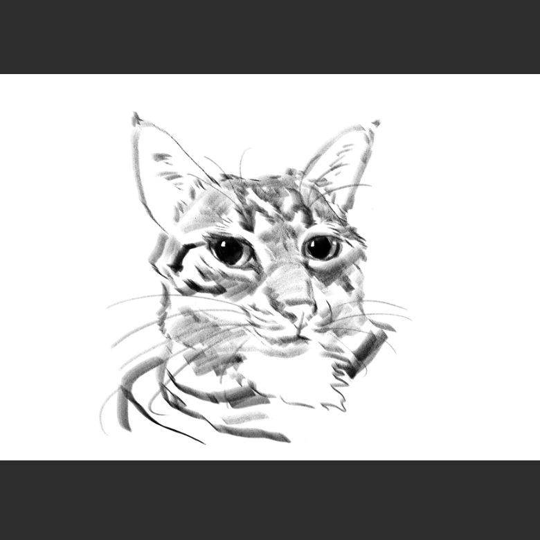 고양이) 우리집 고양이그림 보고가셈_2.png