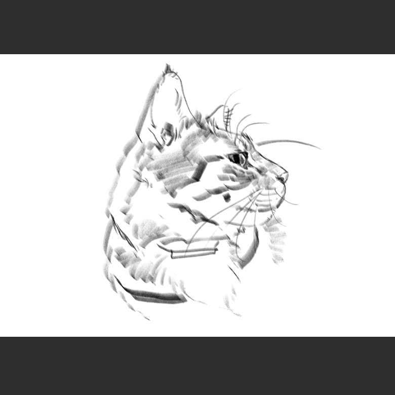 고양이) 우리집 고양이그림 보고가셈_3.png