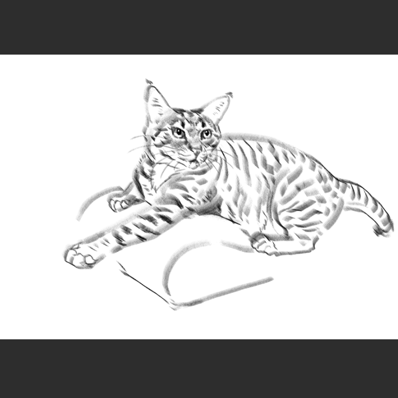 고양이) 우리집 고양이그림 보고가셈_5.png