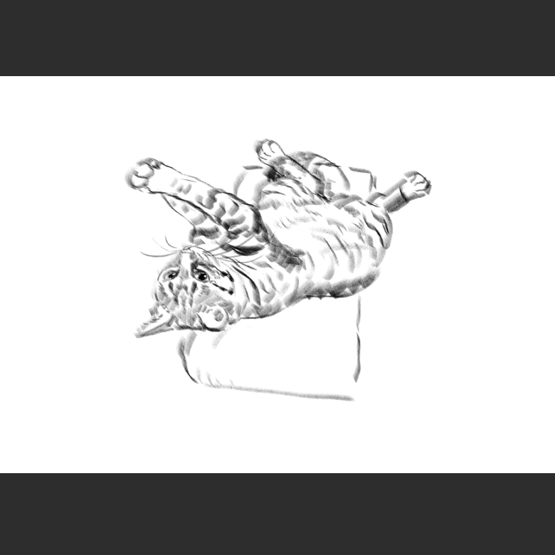 고양이) 우리집 고양이그림 보고가셈_9.png