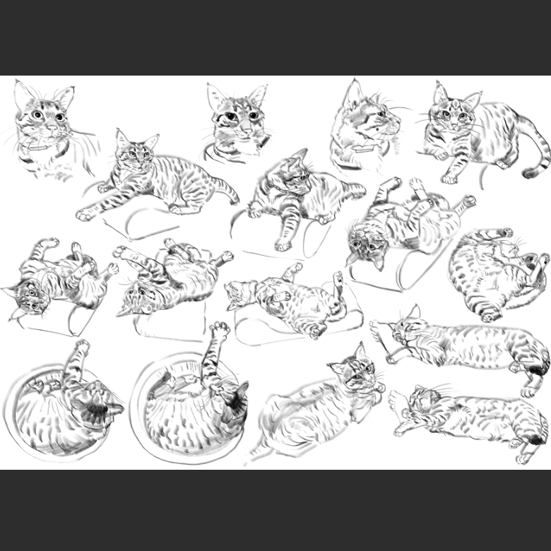 고양이) 우리집 고양이그림 보고가셈_12.png