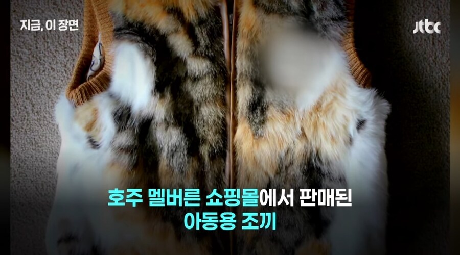 양털이라고 했는데, 고양이? 호주 '발칵' 뒤집은 아동의류_1.jpg
