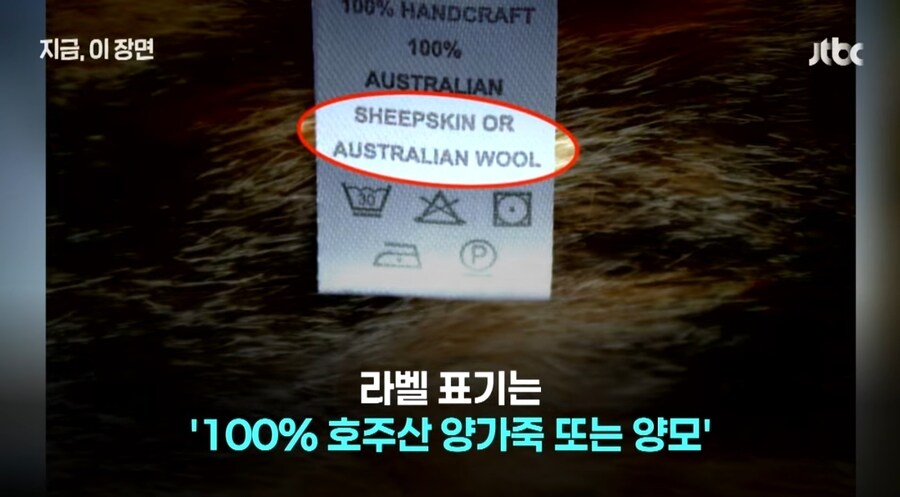 양털이라고 했는데, 고양이? 호주 '발칵' 뒤집은 아동의류_2.jpg