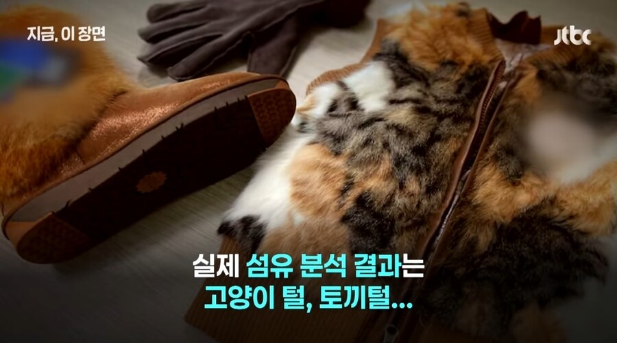양털이라고 했는데, 고양이? 호주 '발칵' 뒤집은 아동의류_3.jpg