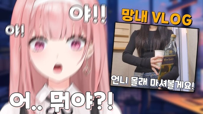 버튜버)좀 많이 특이한 버튜버_6.jpg