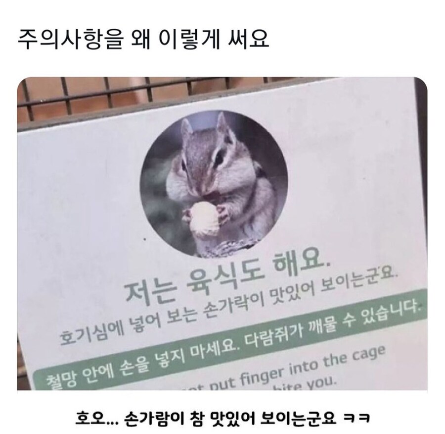 다람쥐 주의사항_1.jpg