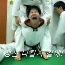 원래 좉토피아 혹은 카스류에서 대유쾌가 된 밈_2.jpg