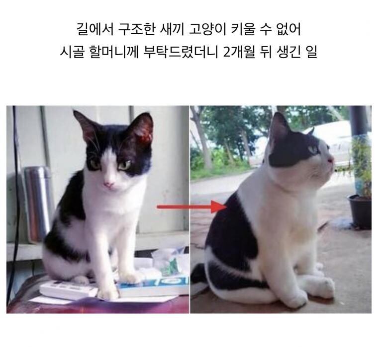 할머니는 만국공통_1.jpg