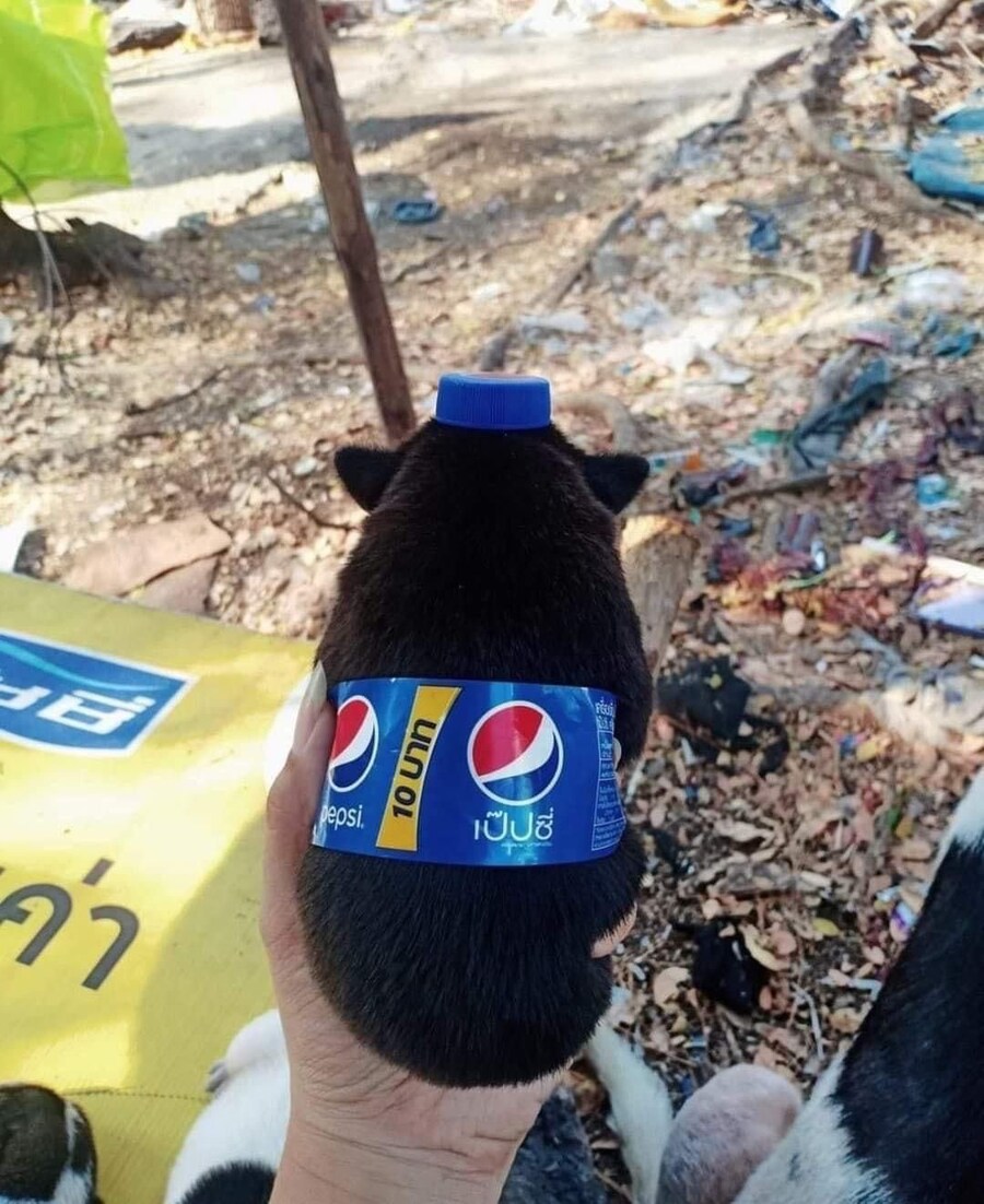 펩시_1.jpg