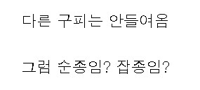 우문현답.jpg_2.png