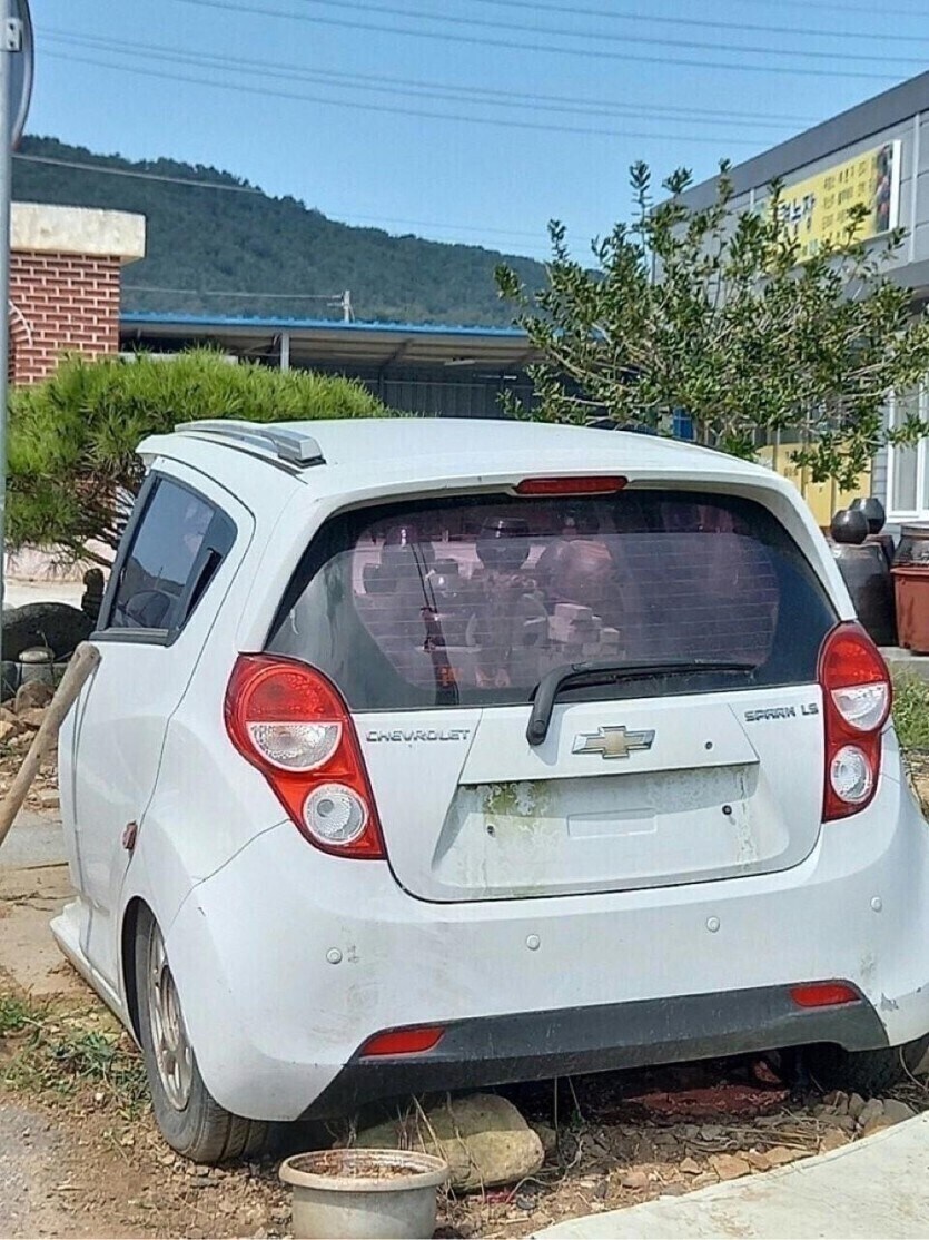 스파크의 시골 생활.jpg_1.jpg