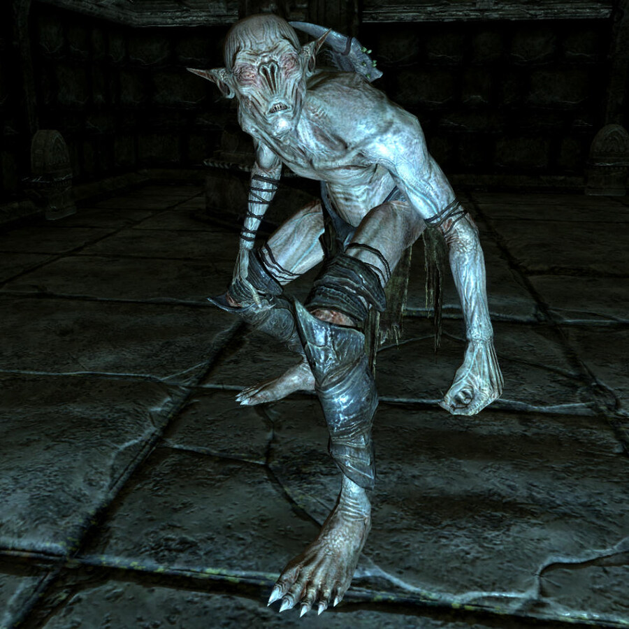 의외로 일반인들에겐 허구로 취급받는 종족.skyrim_1.jpg