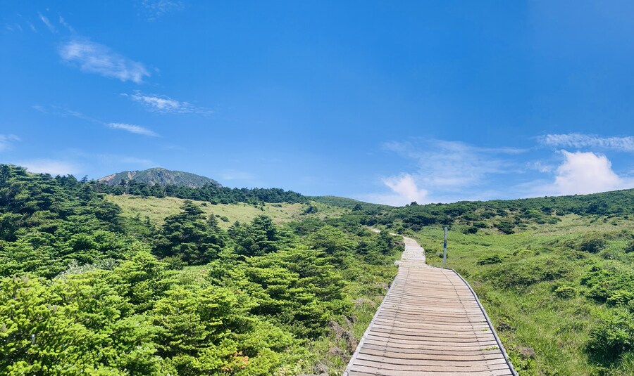 오늘 한라산 다녀왔어!_6.jpg