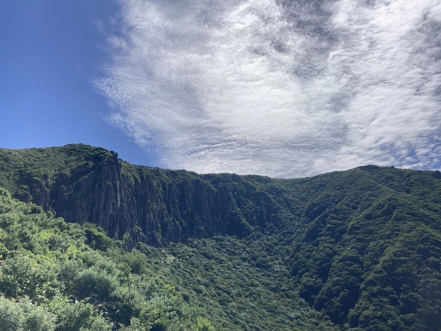 아이폰 se2 카메라도 아직 쓸만한거 같음_4.jpg