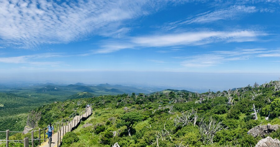 아이폰 se2 카메라도 아직 쓸만한거 같음_7.jpg