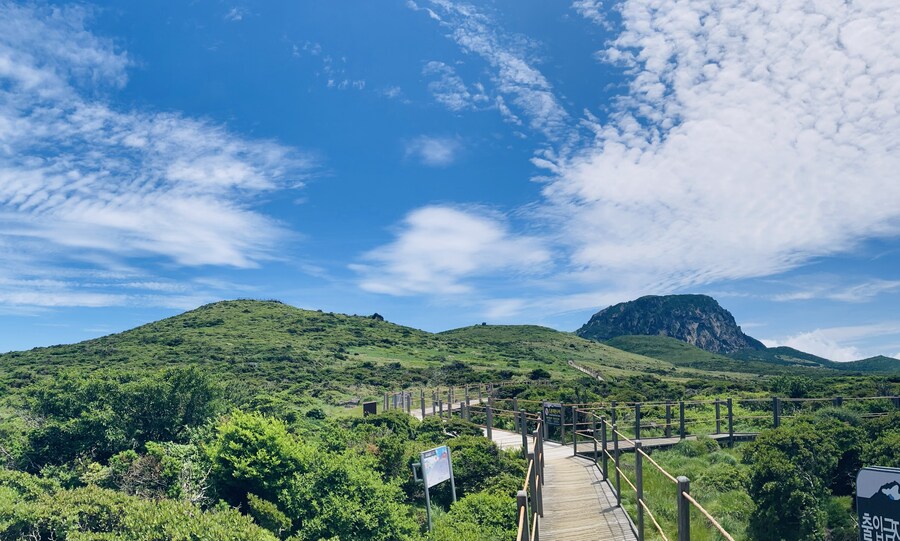 아이폰 se2 카메라도 아직 쓸만한거 같음_10.jpg