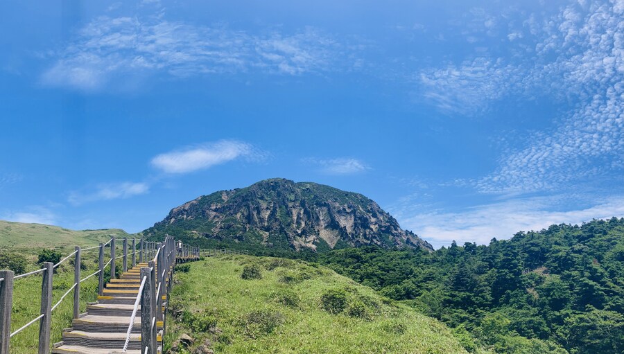 아이폰 se2 카메라도 아직 쓸만한거 같음_12.jpg