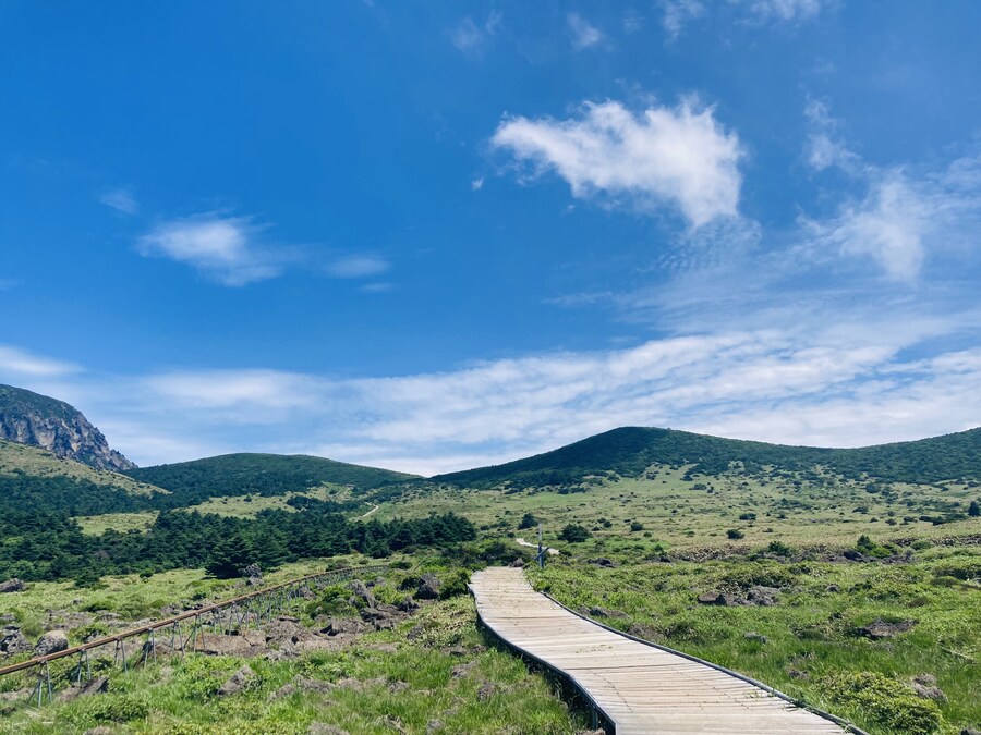 아이폰 se2 카메라도 아직 쓸만한거 같음_14.jpg