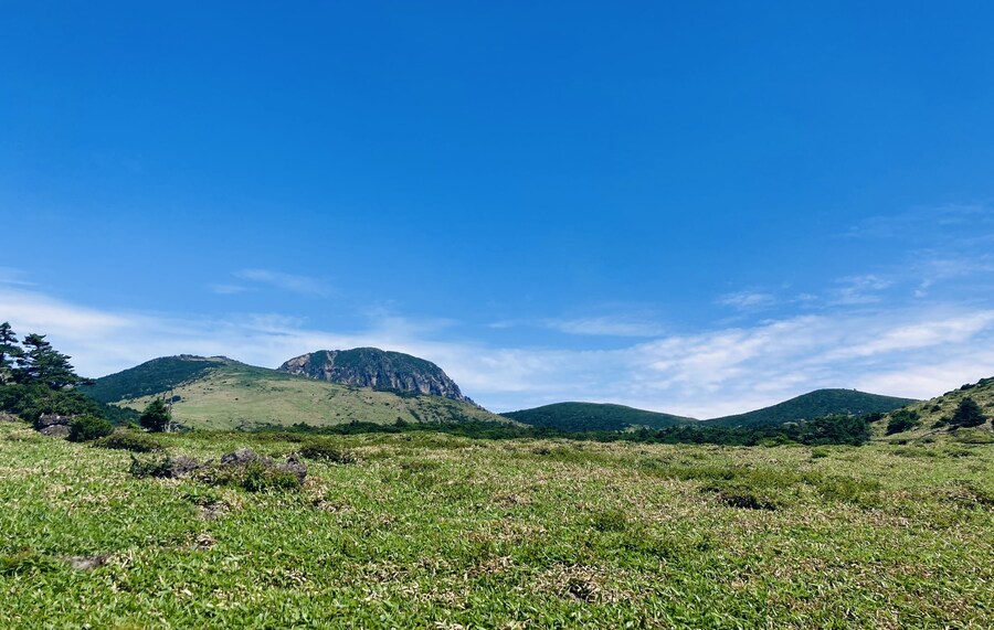 아이폰 se2 카메라도 아직 쓸만한거 같음_15.jpg