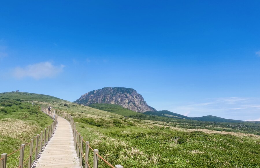 아이폰 se2 카메라도 아직 쓸만한거 같음_18.jpg