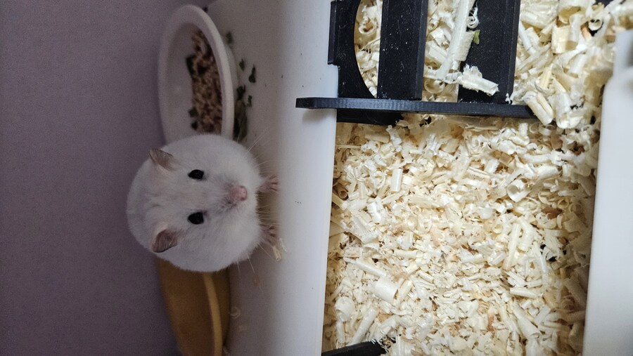 햄스터용 에어컨을 만들어보았습니다_4.jpg