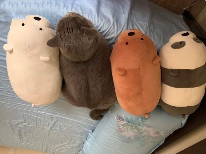 솔직히 파이브 가이즈보다 쉐이크쉑이 더 맛있었음..._1.jpg