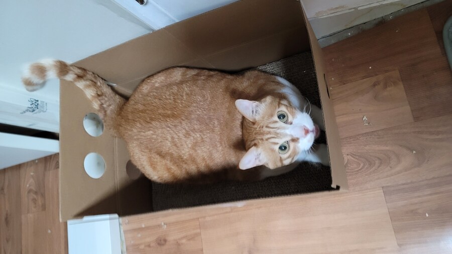 x토피아? 나도 달린다_1.jpg