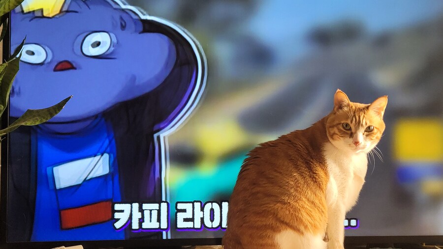 x토피아? 나도 달린다_5.jpg