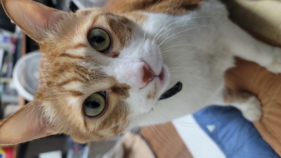 x토피아? 나도 달린다_18.jpg