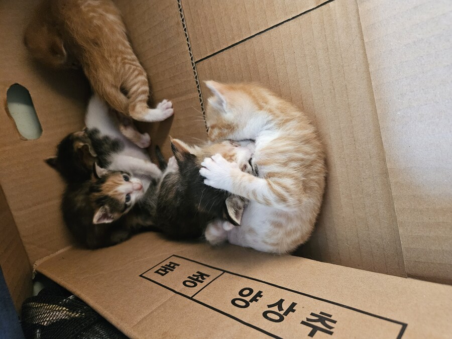 혼란스러운 유게 올리는_8.jpg