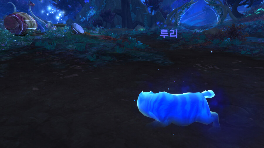 와우] 님들 근냥이 본적있음 ? ?_1.jpg