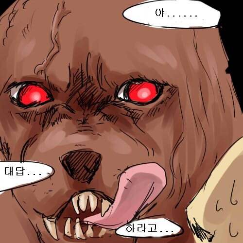졷밥이 주장하는거랑, 헤비급 1짱이 주장하는거랑은 천지차이라._2.jpg