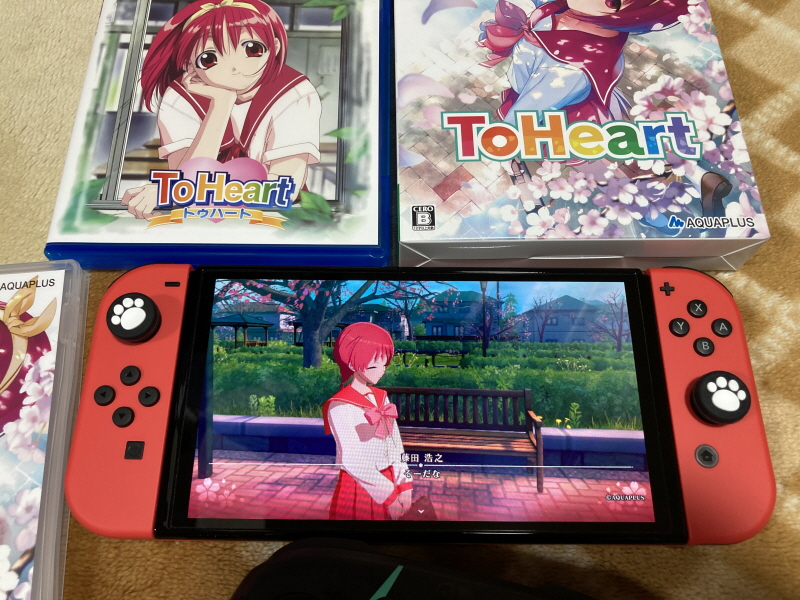 투하트(ToHeart) 리메이크 프리미엄 에디션 With 필링 하트 ~_72.jpg