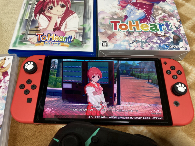 투하트(ToHeart) 리메이크 프리미엄 에디션 With 필링 하트 ~_73.jpg