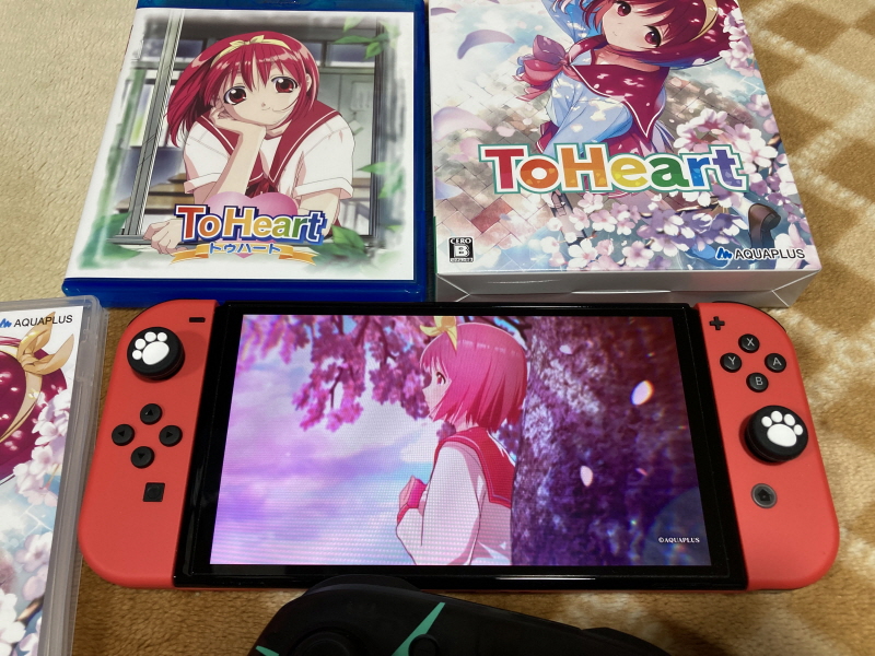 투하트(ToHeart) 리메이크 프리미엄 에디션 With 필링 하트 ~_76.jpg