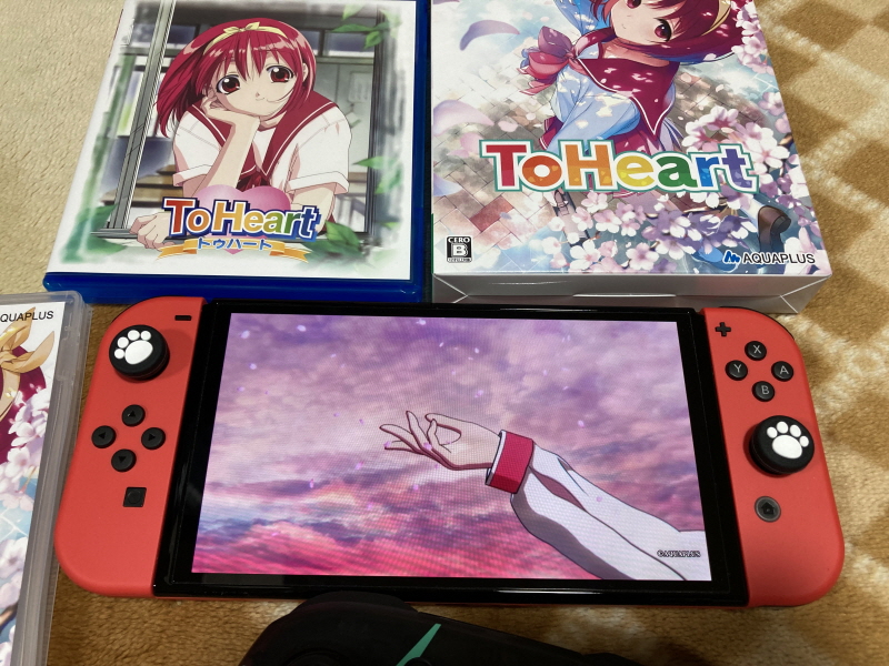 투하트(ToHeart) 리메이크 프리미엄 에디션 With 필링 하트 ~_79.jpg