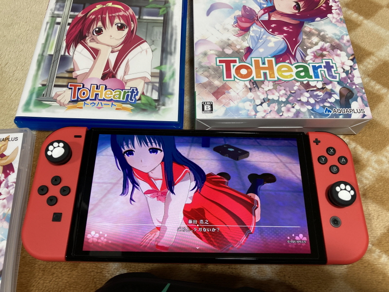 투하트(ToHeart) 리메이크 프리미엄 에디션 With 필링 하트 ~_84.jpg