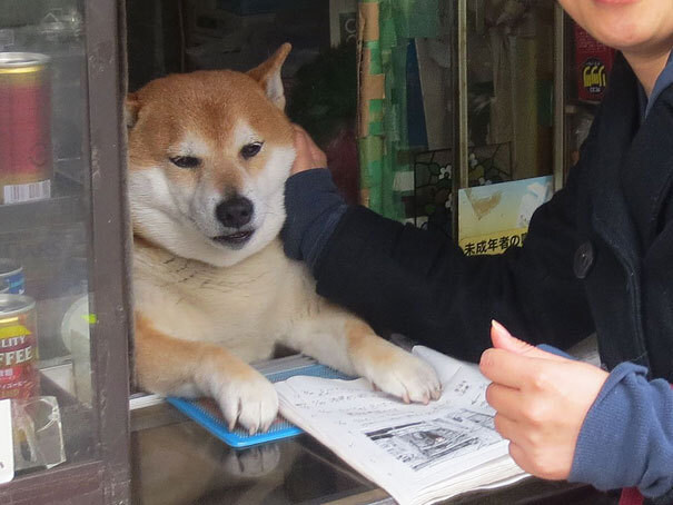 일본의 어느 구멍가게의 주인_2.jpg
