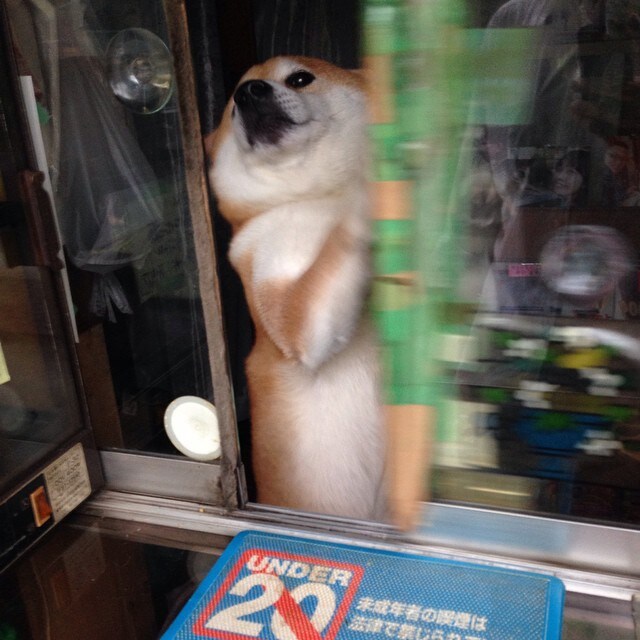 일본의 어느 구멍가게의 주인_9.jpg