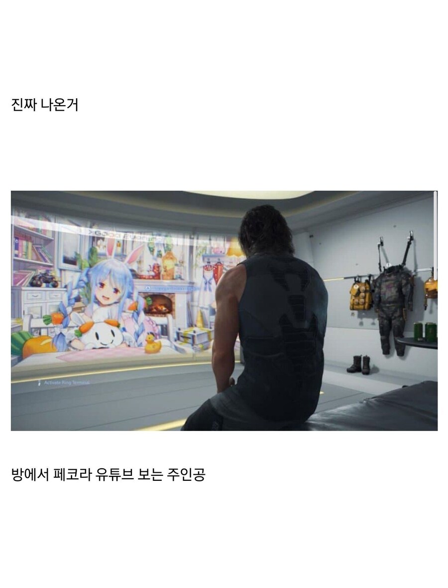 흔한 데스스트랜딩2의 버튜버_2.jpg