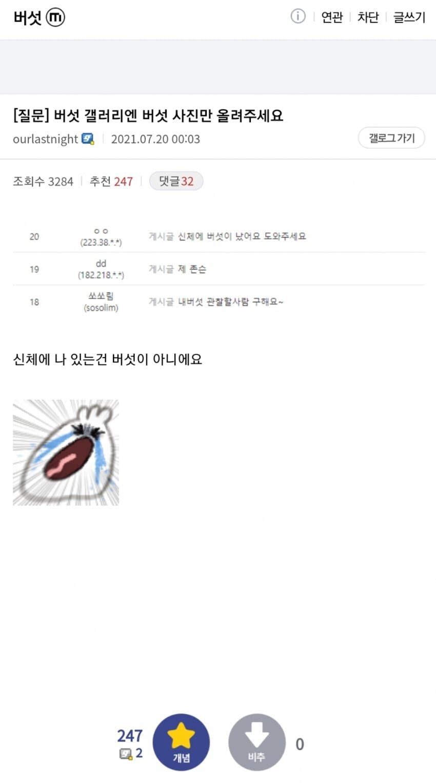 버섯갤엔 버섯만 올려주세요_1.jpg