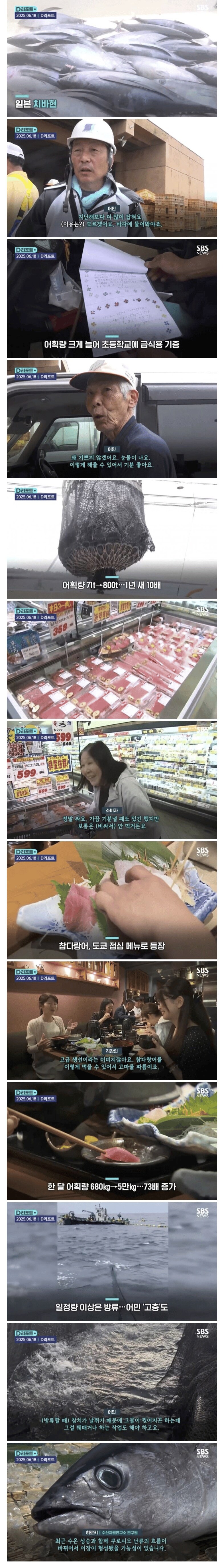 일본에서 잡혀도 너무 많이 잡힌다는 생선_1.png