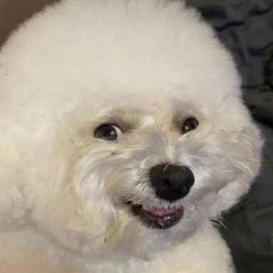 주식) 용돈 들어왔다_1.png