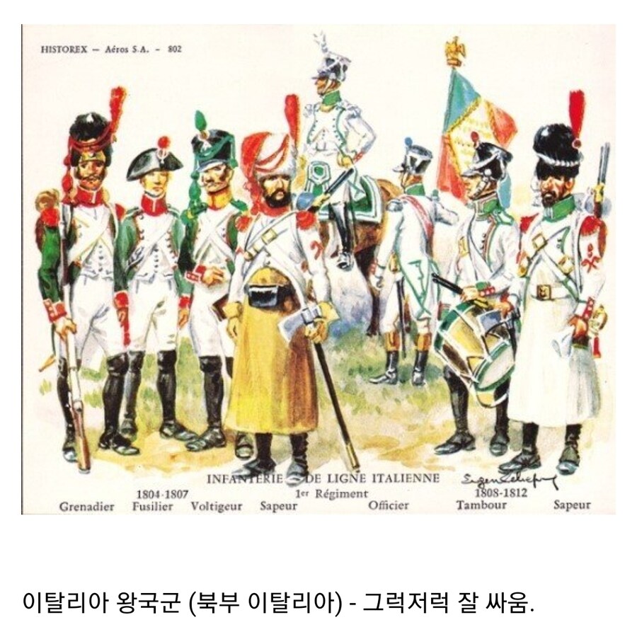 나폴레옹 전쟁 당시 프랑스군 동맹 군대 평가_3.jpg