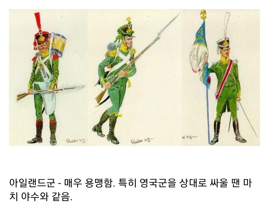 나폴레옹 전쟁 당시 프랑스군 동맹 군대 평가_6.jpg