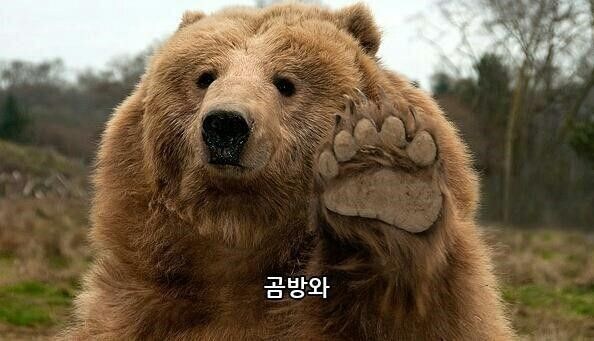 도움) 똘똘한 유게이들아 도움을 다오.talk_1.jpg