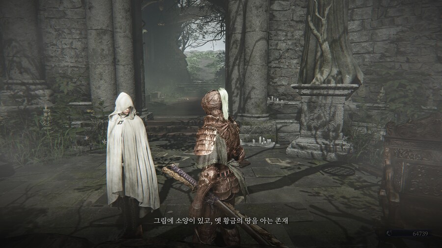 (엘든링) 엘밤통 캐릭터 스토리 - 집행자 편_9.jpg